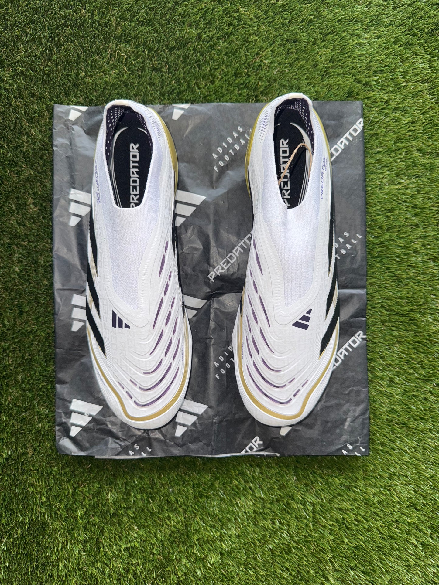 Adidas Predator Elite Laceless Champions League White/BlackGold Firm Ground