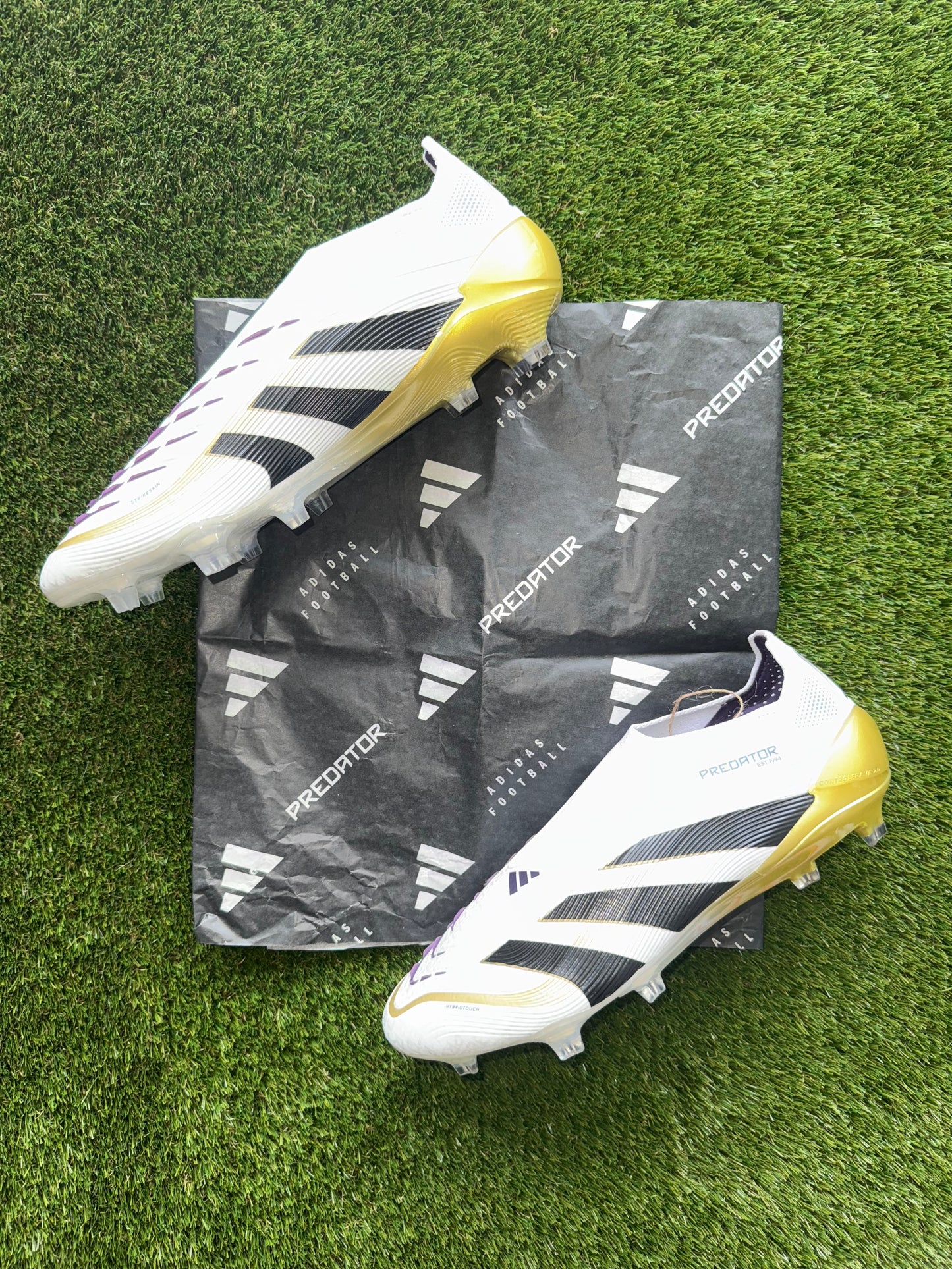 Adidas Predator Elite Laceless Champions League White/BlackGold Firm Ground