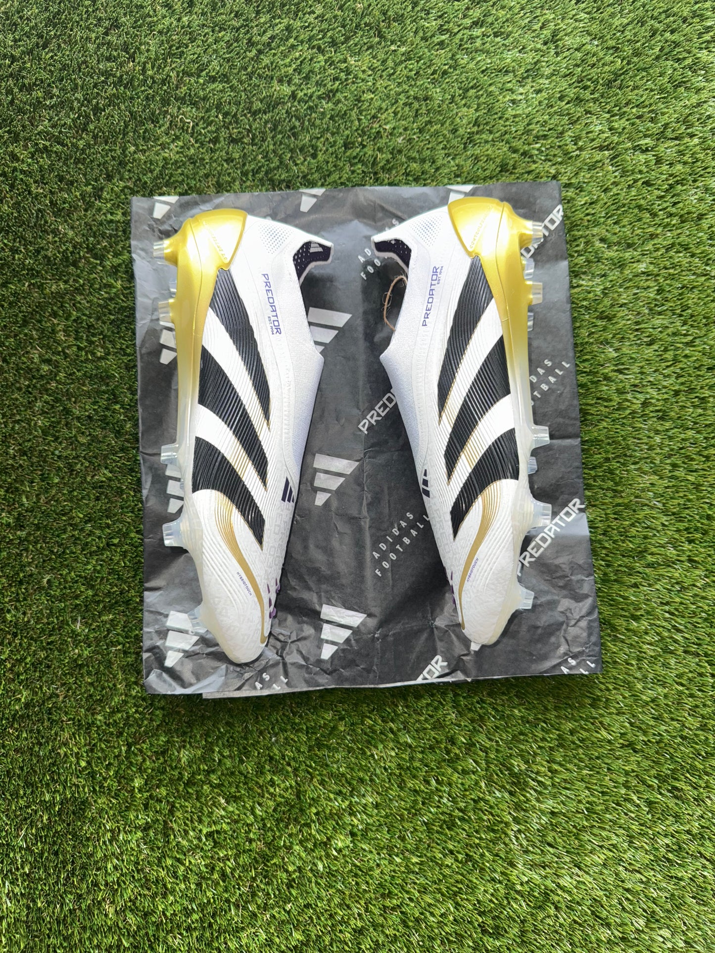 Adidas Predator Elite Laceless Champions League White/BlackGold Firm Ground