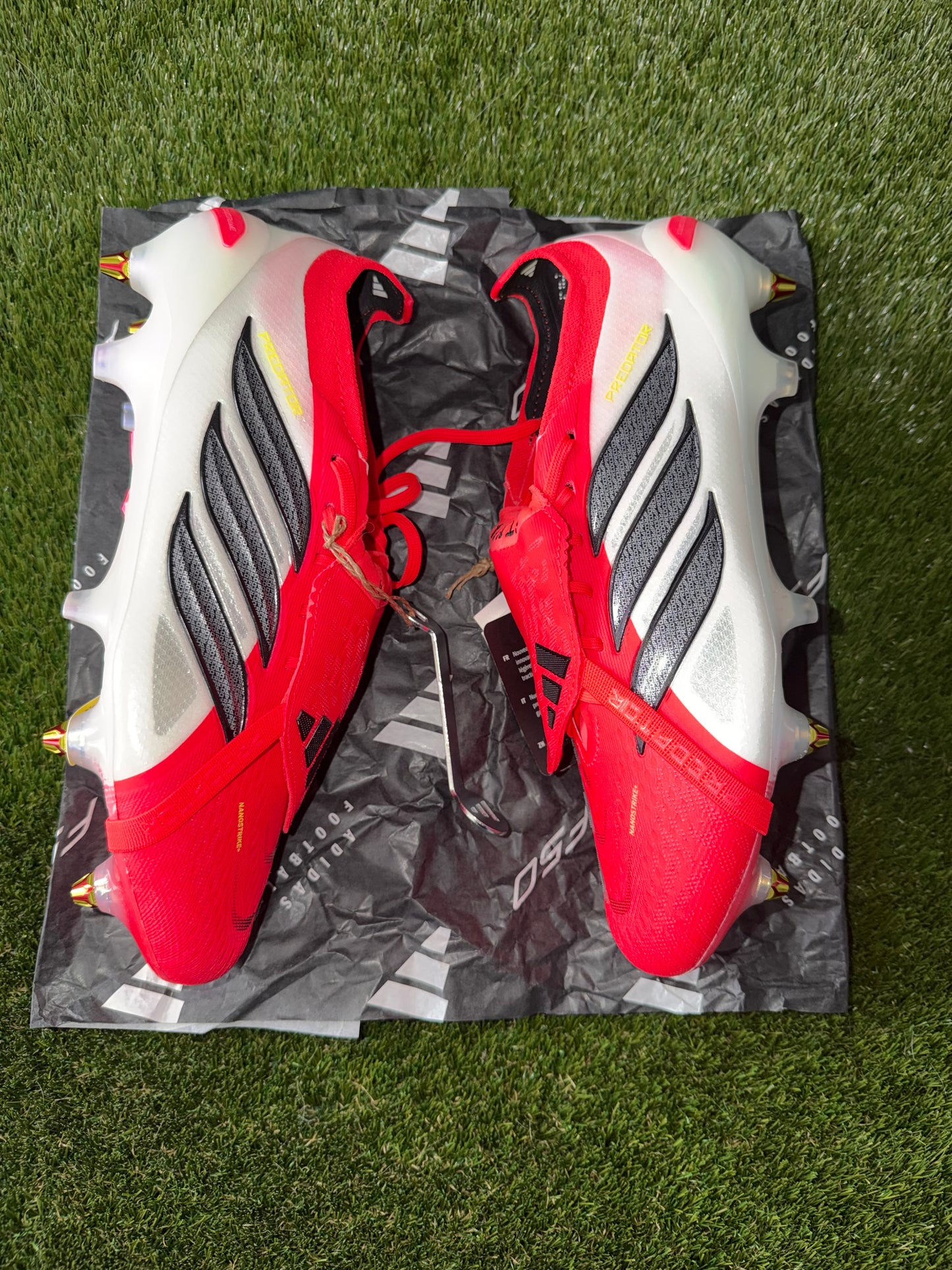 Adidas Predator Elite FT SG Lucid Red / Black